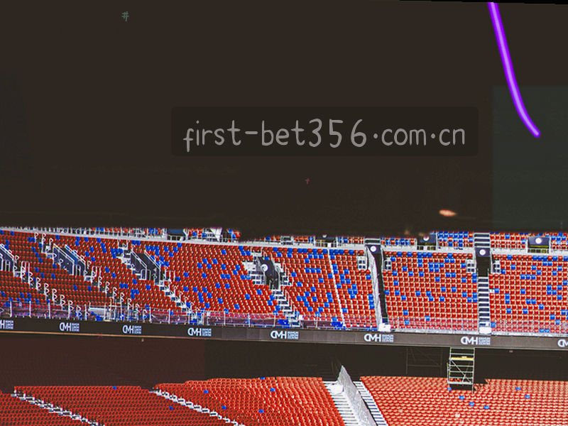 BET356站内版本说明费用对比信息图